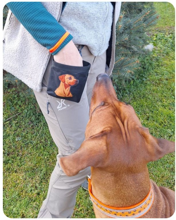Pamlskovník Ridgeback